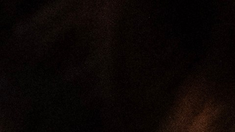 A new US citizen holds a small American flag as the national anthem is played during a US naturalization ceremony at the Los Angeles Central Library, in Los Angeles.