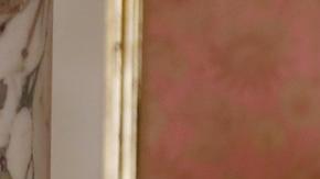 Pedro Castillo, expresidente de Perú.