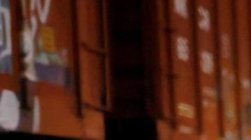 México: suspenden operación de trenes usados por migrantes