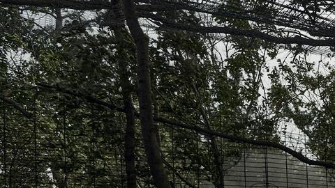 Un tanque ucraniano dispara contra posiciones rusas en torno a Bajmut en una imagen tomada ayer.