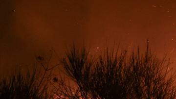 La crisis del clima abrió “las puertas del infierno”, dice Guterres