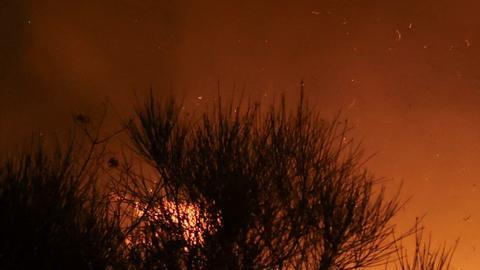 La crisis del clima abrió “las puertas del infierno”, dice Guterres