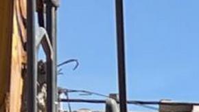 Tragedia en Marruecos: Se acaban esperanzas de hallar supervivientes, rescatistas inician retirada