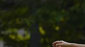 El país más anciano del mundo donde una de cada 10 personas tiene 80 años o más