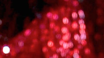 Maribel guardia y su hijo Julián Figueroa en 2014.