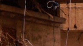 La tormenta Daniel provocó lluvias torrenciales que arrastraron poblaciones enteras de Libia hasta el Mediterráneo.