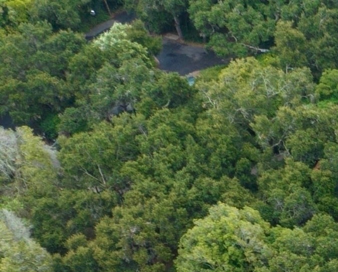 Así luce la nueva mansión de Zoe Saldaña vista desde las alturas (The Grosby Group)