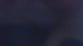 William 'Camarón' Zepeda