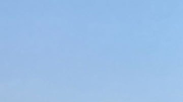 VIDEO: México realiza Segundo Simulacro Nacional 2023 y en memoria de los sismos de 1985 y 2017