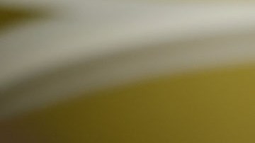 Chuck Schumer, líder de la mayoría del Senado