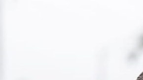 Gil Cisneros y Joe Voguel compiten por el Congreso.