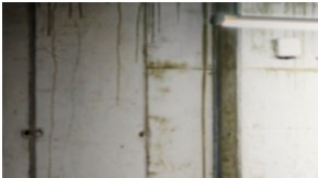 Dodge Challenger SRT Hellcat