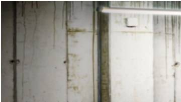 Dodge Challenger SRT Hellcat