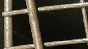 Encuentran a perro que se perdió en la pista del aeropuerto de Atlanta hace 3 semanas