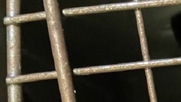 Encuentran a perro que se perdió en la pista del aeropuerto de Atlanta hace 3 semanas