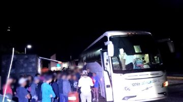 Encuentran a 178 migrantes ilegales en autobús de pasajeros en Veracruz