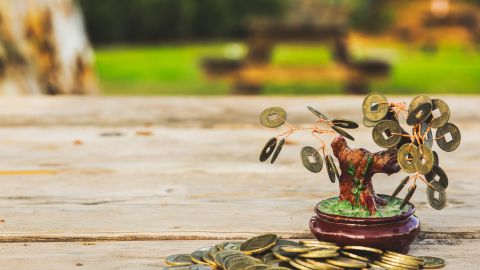 Feng Shui rituales otoño