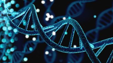 Herramienta de inteligencia artificial de Google evalúa las mutaciones del ADN en busca de trastornos raros