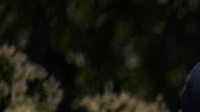 Gavin Newsom y Joe Biden se respetan mutuamente