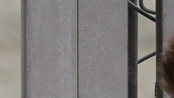 Gerard Piqué y Clara Chía Martí en Grand Prix de Cataluya.