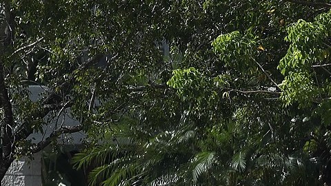 Suspenden a oficial de Maryland que fue grabado subiéndose al asiento trasero de una patrulla con una mujer