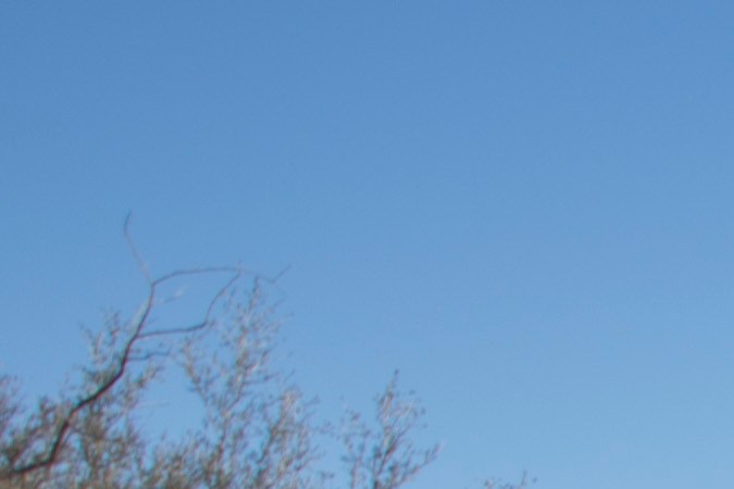 Frontera entre EE.UU. y México es la ruta migratoria terrestre más peligrosa del mundo: OIM