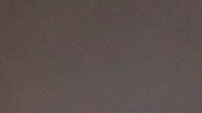 Alex Morgan milita en San Diego Wave.