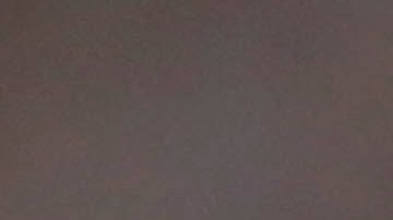 Alex Morgan milita en San Diego Wave.