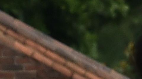 Cuatro menores de edad y un adulto resultaron heridos en un tiroteo en Virginia