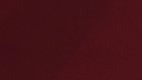 López Obrador y Marcelo Ebrard