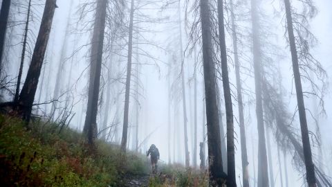 Encuentran el cuerpo de un excursionista desaparecido en el Parque Nacional Glacier