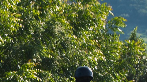 Crimen organizado hace de los despojos de tierras otro negocio ilegal