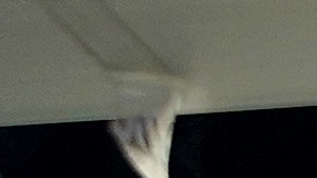 NEW YORK, NEW YORK - DECEMBER 07: A general view of atmosphere as as Mary J Blige and Simone I Smith launch their Sister Love Jewelry Holiday Pop Up Shop In Long Island City, NY at Aloft Long Island City on December 07, 2019 in New York City. (Photo by Sean Zanni/Getty Images for Sisterly Love Holiday Pop Up Shop )