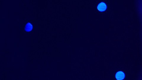 El documental fue estrenado en junio pasado en el Festival de Cine Tribeca en Nueva York