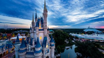 Avistamiento de un oso negro en árbol de Disney World provocó cierres en Magic Kingdom