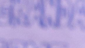 La Suprema Corte de México despenaliza el aborto en todo el país