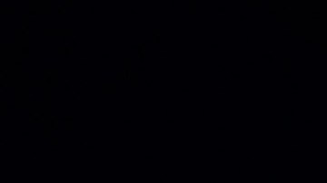 EE.UU. ha salvado vidas con su vacunación contra Covid.