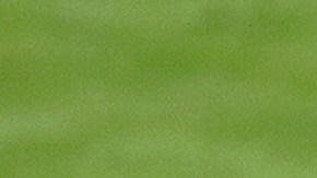 El LAFC y Tigres de la UANL disputarán el trofeo de Campeones Cup.