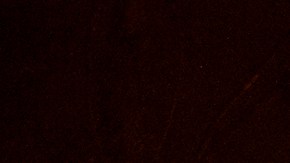 CALIFORNIA HOT SPRINGS, CA - SEPTEMBER 21: The Windy Fire blazes through the Long Meadow Grove of giant sequoia trees near The Trail of 100 Giants overnight in Sequoia National Forest on September 21, 2021 near California Hot Springs, California. As climate change and years of drought push wildfires to become bigger and hotter, many of the worlds biggest and oldest trees, the ancient sequoias, have been killed. The giant trees are among the worlds biggest and live to more than 3,000 years, surviving hundreds of wildfires throughout their lifespans. The heat of normal wildfire of the past helped the trees reproduce but increasing fire intensity can now kill them. A single wildfire, the Castle fire, destroyed as much as 14 percent of all the worlds giant sequoias in 2020. (Photo by David McNew/Getty Images)