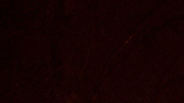 CALIFORNIA HOT SPRINGS, CA - SEPTEMBER 21: The Windy Fire blazes through the Long Meadow Grove of giant sequoia trees near The Trail of 100 Giants overnight in Sequoia National Forest on September 21, 2021 near California Hot Springs, California. As climate change and years of drought push wildfires to become bigger and hotter, many of the worlds biggest and oldest trees, the ancient sequoias, have been killed. The giant trees are among the worlds biggest and live to more than 3,000 years, surviving hundreds of wildfires throughout their lifespans. The heat of normal wildfire of the past helped the trees reproduce but increasing fire intensity can now kill them. A single wildfire, the Castle fire, destroyed as much as 14 percent of all the worlds giant sequoias in 2020. (Photo by David McNew/Getty Images)