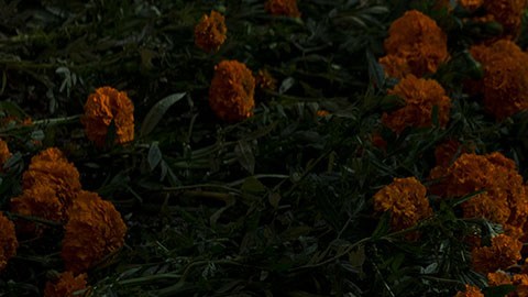 Muerte de migrantes en México