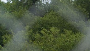 El gobierno de Texas colocó alambres con púas en la frontera.