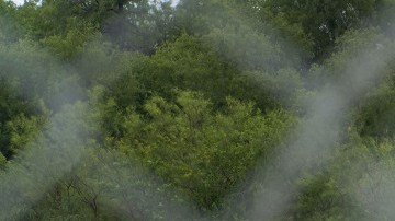 El gobierno de Texas colocó alambres con púas en la frontera.