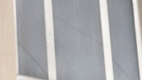 El exasesor de Trump, Pete Navarro, fue hallado culpable por desacato.