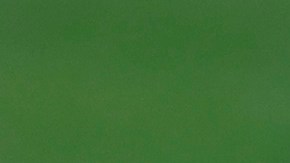 La joven Siria tenía 18 años de edad