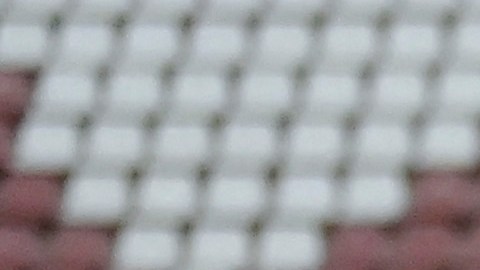 Selección de Estados Unidos.