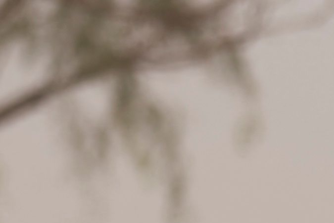 Más de 341,100 centroamericanos fueron aprehendidos en EE.UU. y México entre enero y julio