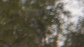 Más de 341,100 centroamericanos fueron aprehendidos en EE.UU. y México entre enero y julio