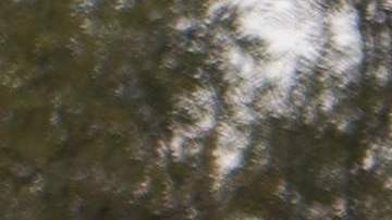 Más de 341,100 centroamericanos fueron aprehendidos en EE.UU. y México entre enero y julio