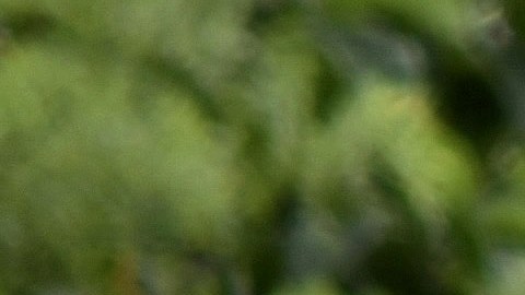 Iglesia denunció crisis humanitaria en frontera sur de México que ha provocado estampidas humanas